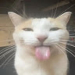 Meet your Posher, Hailey